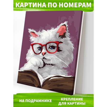 Картина по номерам Art on Canvas холст на деревянном подрамнике 40х50 см Умный кот