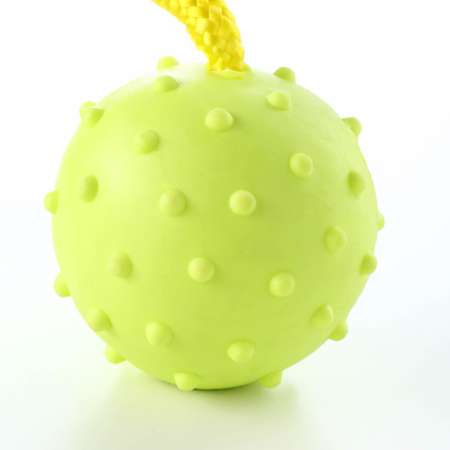 Игрушка Пижон мяч на веревке 6 см салатовая