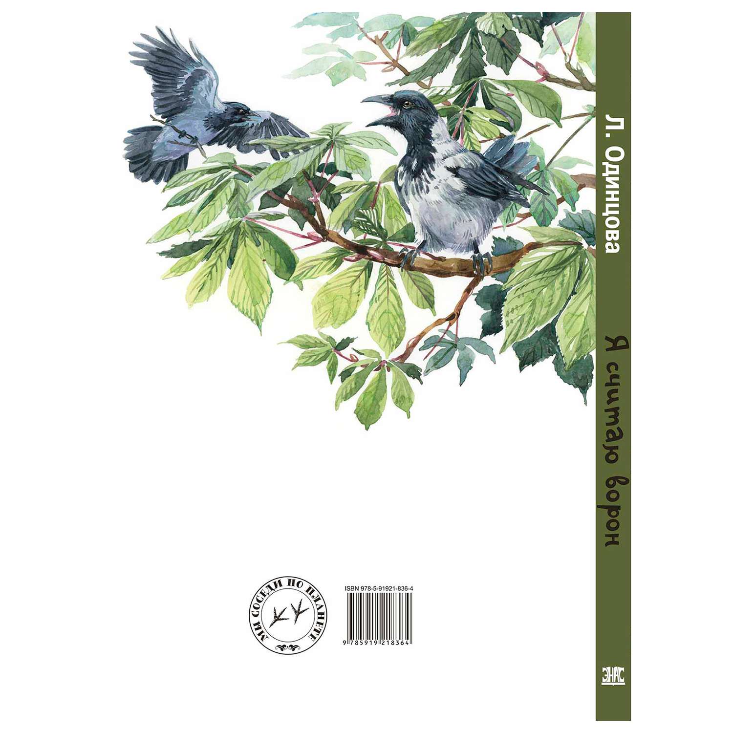 Книга Издательство Энас-книга Я считаю ворон Две истории из жизни птиц и людей - фото 6