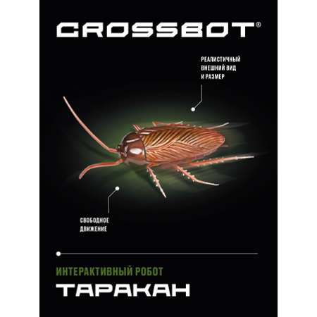 Игровой набор CROSSBOT