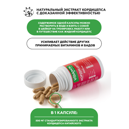 Кордицепс VIDAMIN EXTRA 40 капсул