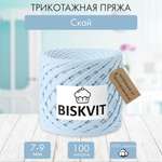 Трикотажная пряжа BISKVIT Скай