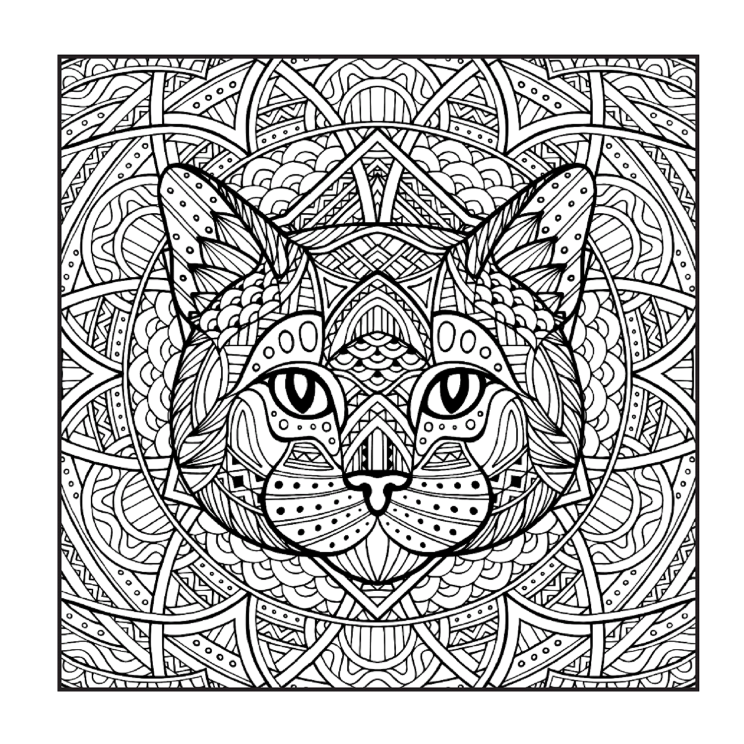 Раскраска АСТ Енотики и котики Рисунок для медитаций - фото 2