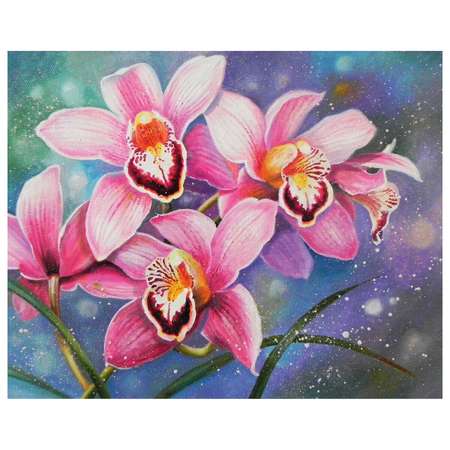 Картина по номерам Остров Сокровищ антистресс Орхидеи
