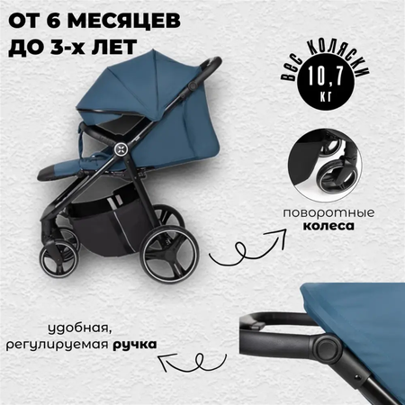 Коляска прогулочная agex Maxi Blue