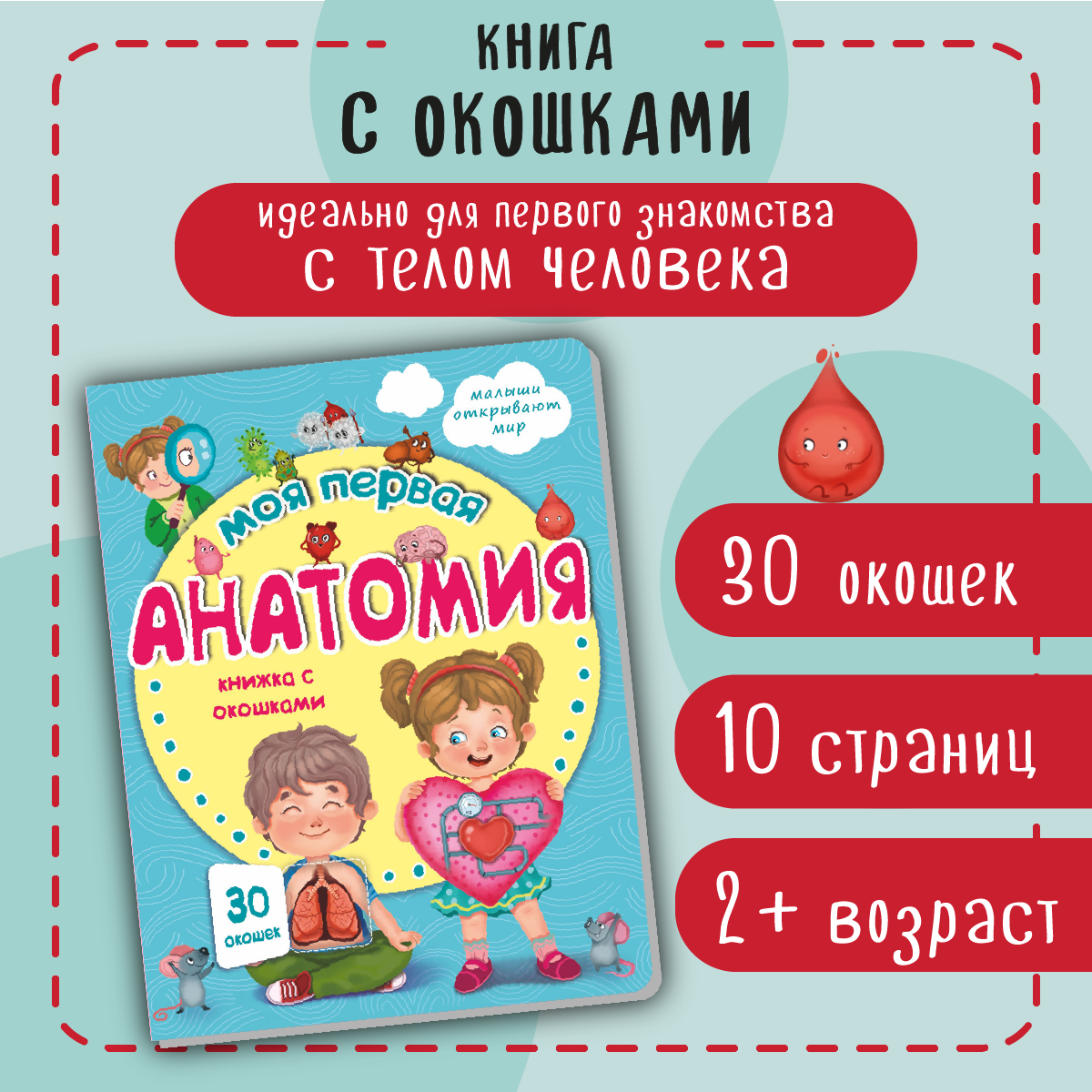 Книжка для малышей BimBiMon с окошками. Моя первая анатомия Виммельбух - фото 1