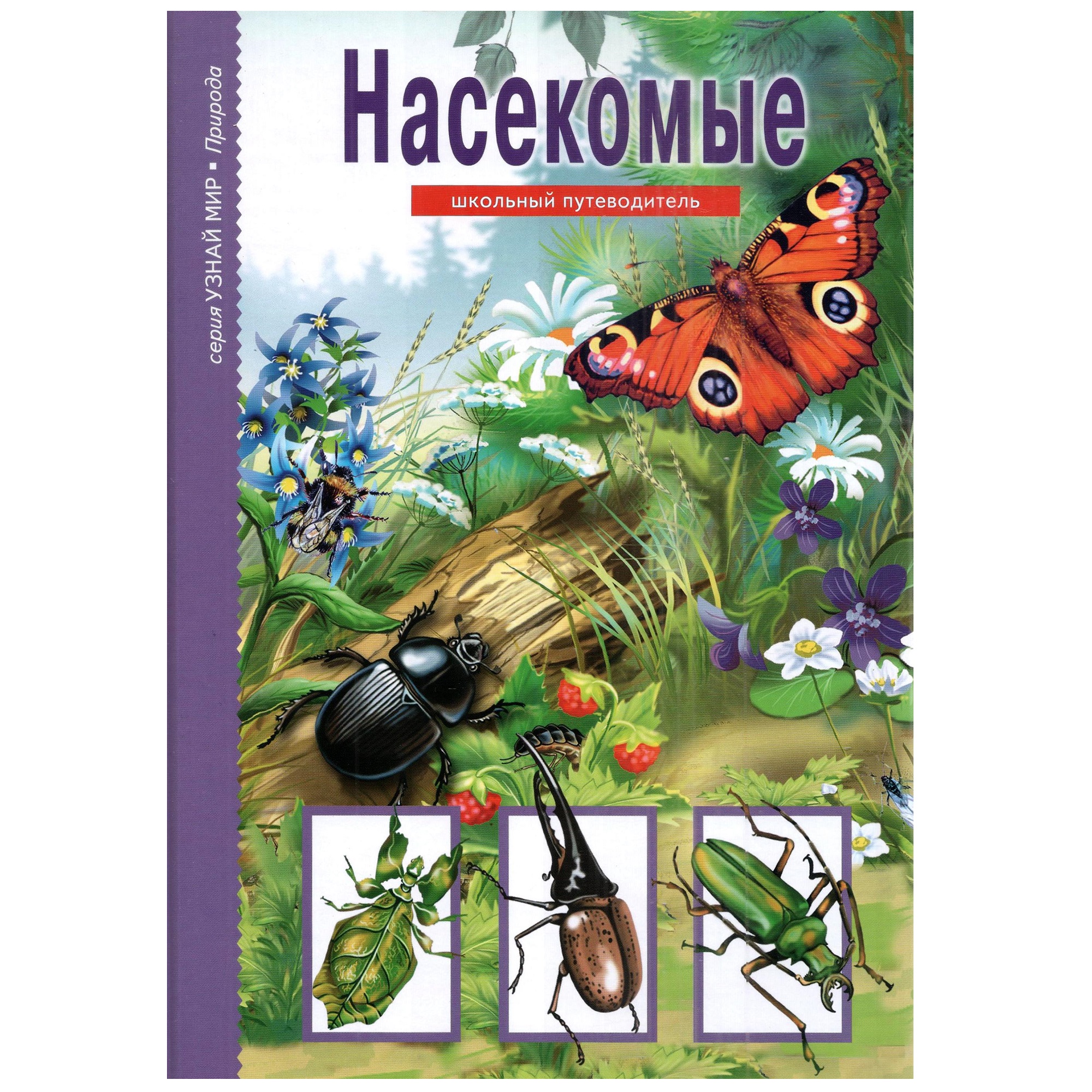 Книга Лада Насекомые. Школьный путеводитель купить по цене 364 ₽ в  интернет-магазине Детский мир