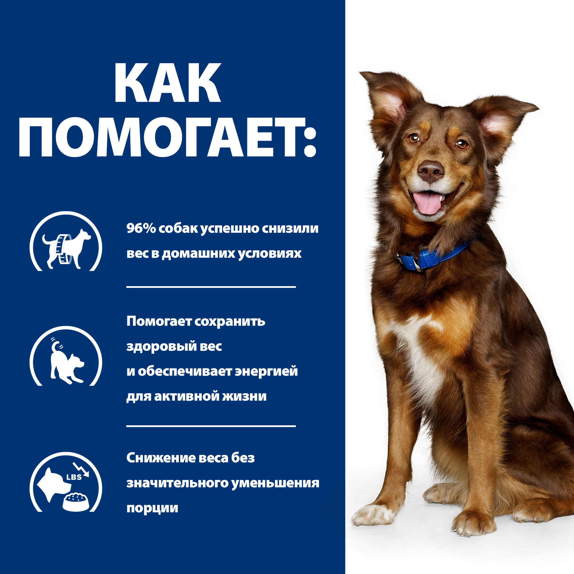 Корм для собак HILLS 1.5кг Prescription Diet Metabolic для снижения и контроля веса ягненок-рис сухой - фото 5