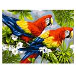 Картина по номерам LORI Пара попугаев 38х28.5 см
