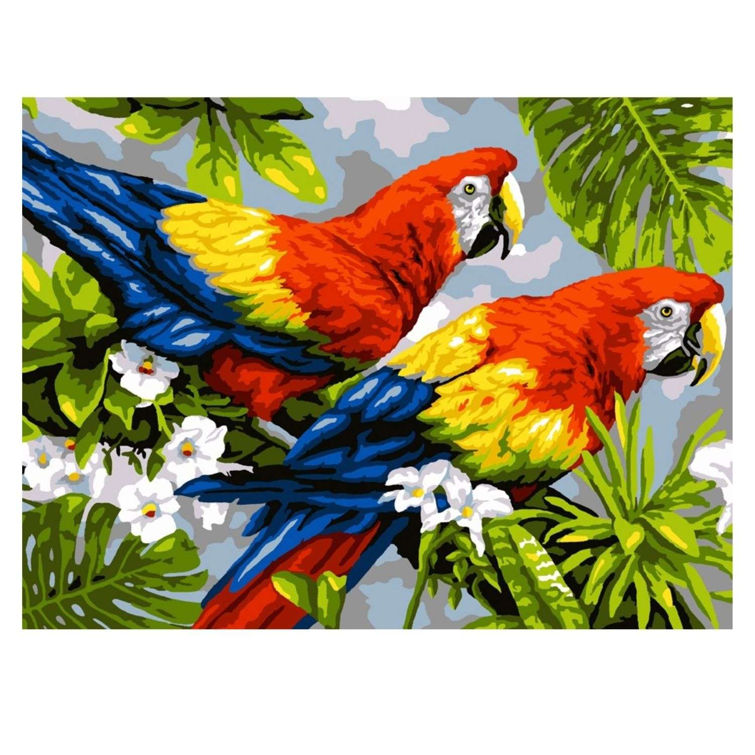 Картина по номерам LORI Пара попугаев 38х28.5 см - фото 1