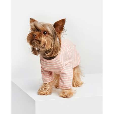 Одежда для собак - интернет-магазин Crystaldog