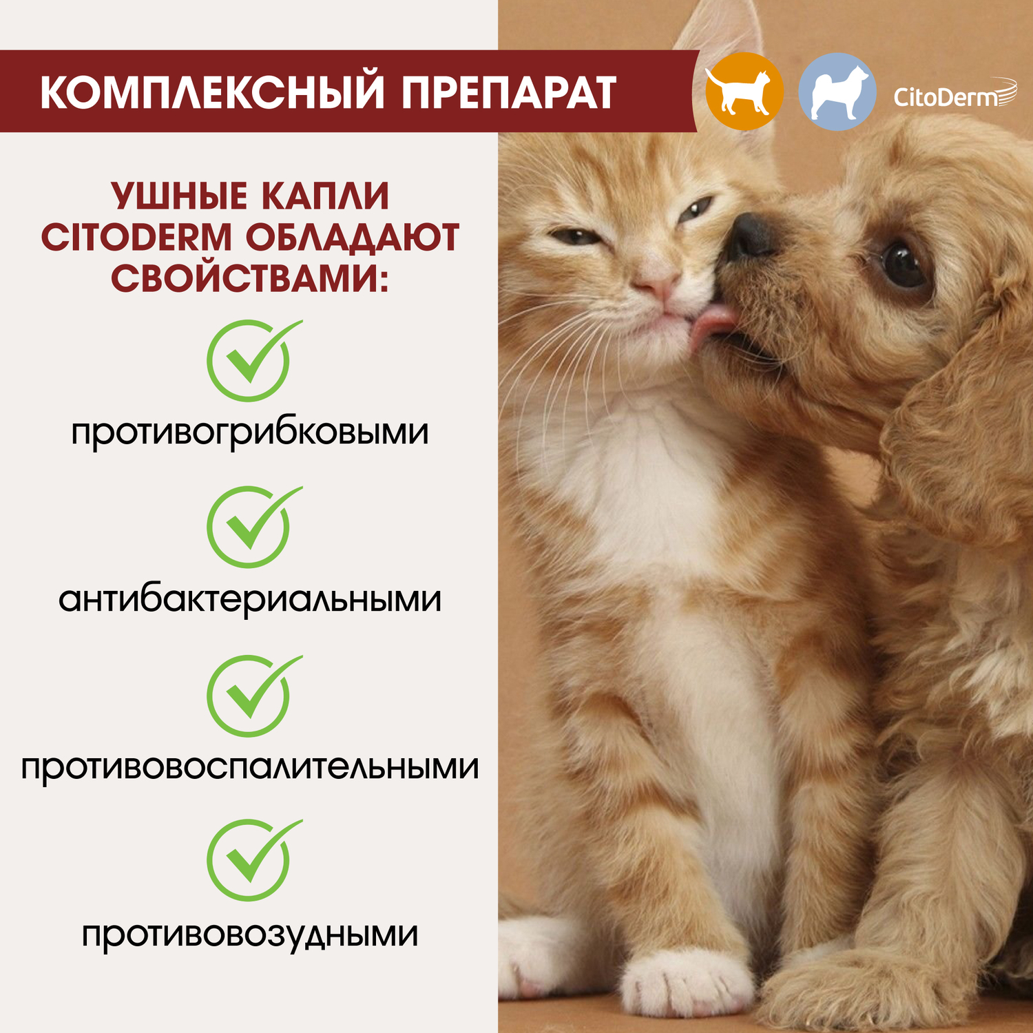 Капли ушные для животных CitoDerm противогрибковые+ 10мл - фото 6