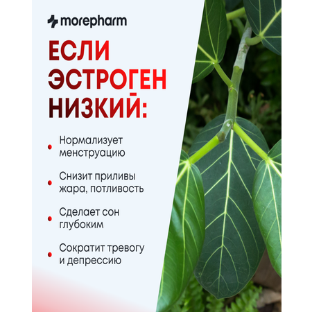 БАД morepharm Цимицифуга фитоэстроген при климаксе и менопаузе