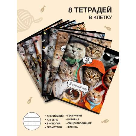 Комплект тетрадей SCHOOLFORMAT предметных 48 листов А5 Котики 10 штук