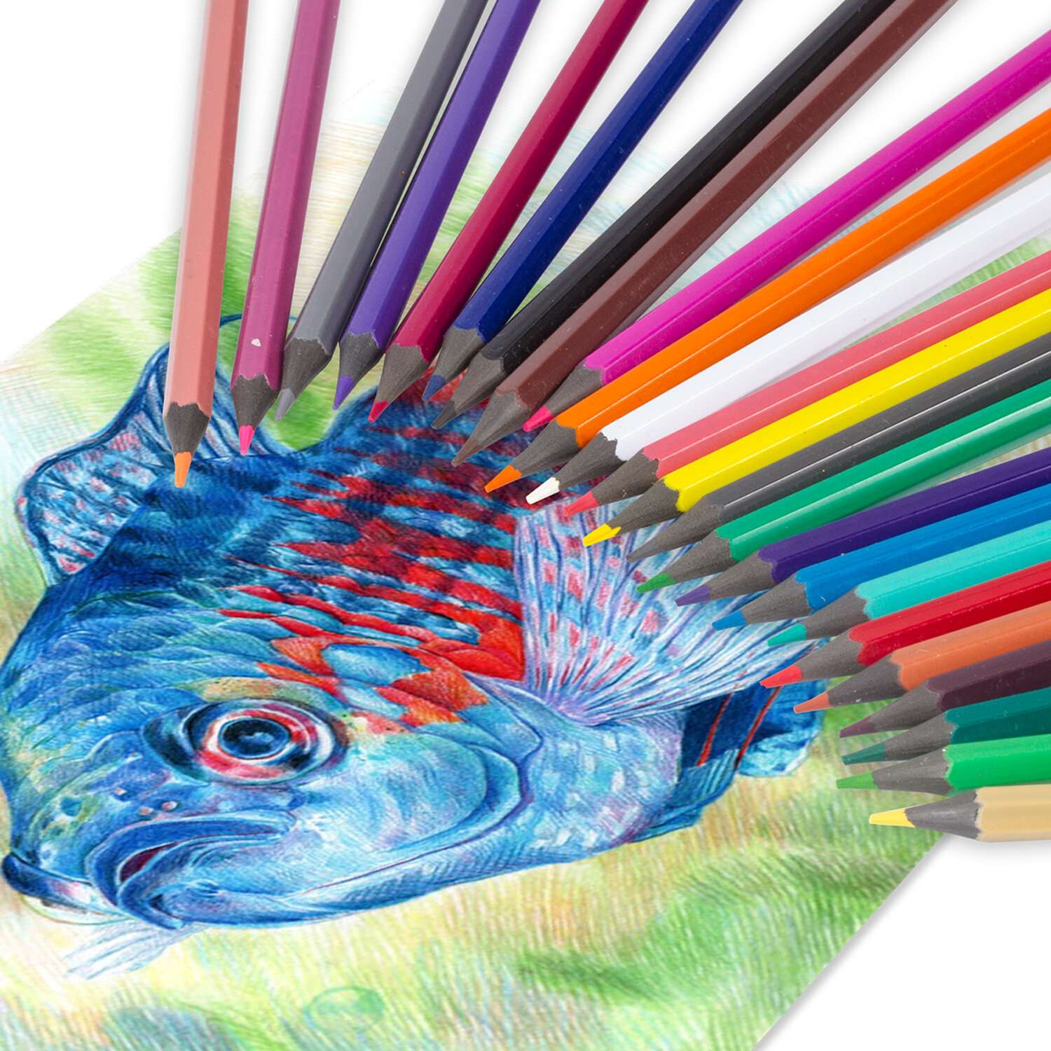 Карандаши цветные Пифагор для рисования набор 24 цвета пластиковые - фото 2