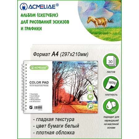 Альбом-скетчбук ACMELIAE Для рисования и творчества на пружине А4 160 г 30 листов