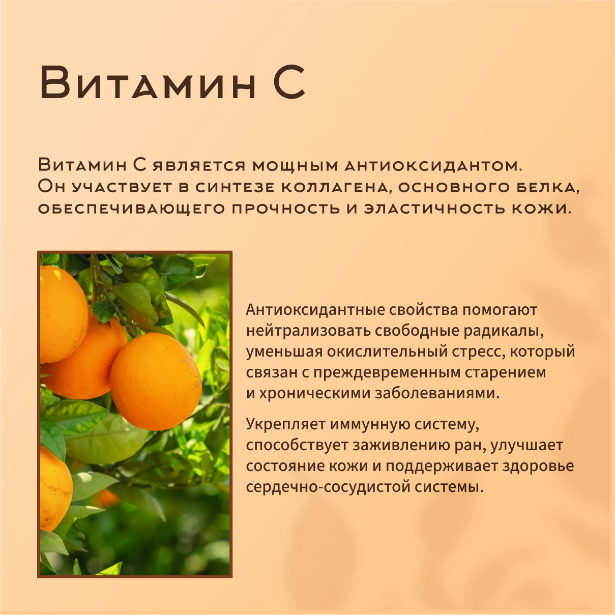 Витамин С с куркумином Dr.White Vitamin C with curcumin - фото 3