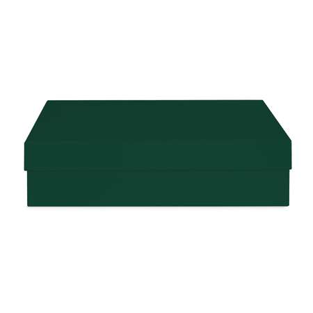 Коробка подарочная Красота в Деталях Тёмно-зелёная 310х210х80 мм