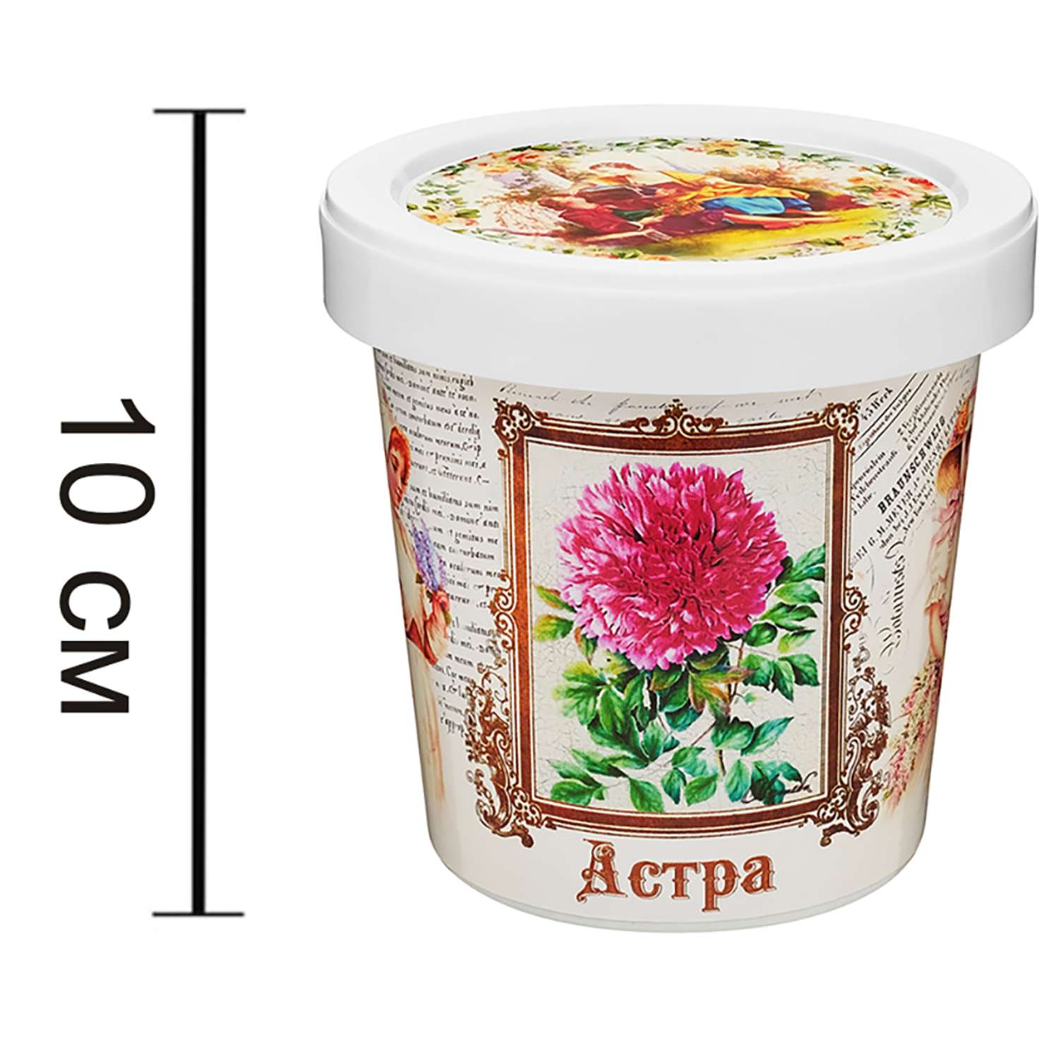 Набор для выращивания растений Rostok Visa Вырасти сам цветок Астра в подарочном горшке - фото 8