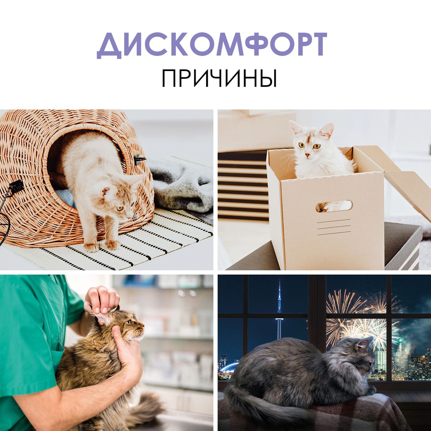 Паста для кошек Gimcat Expert line Анти-Стресс 50г - фото 8