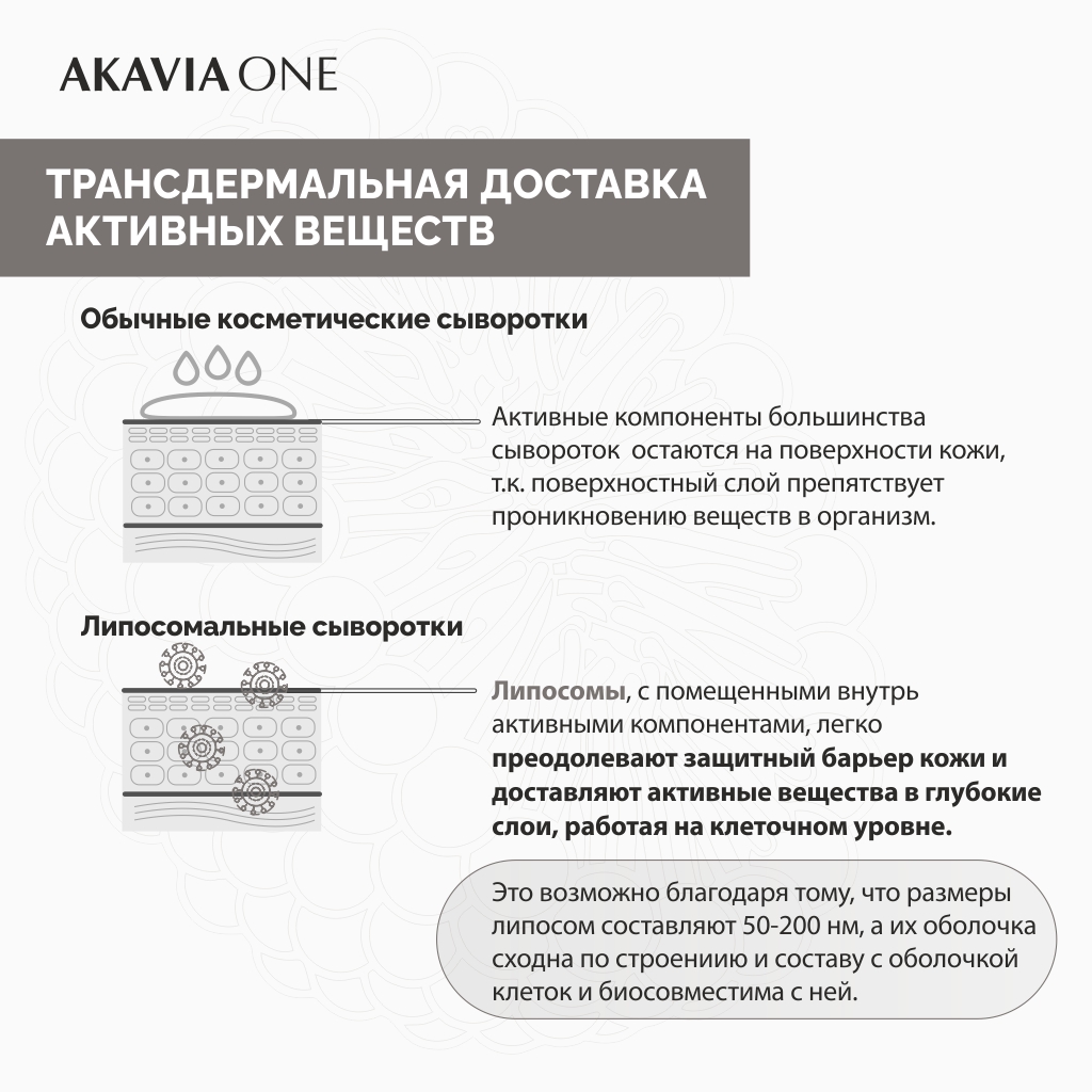 Сыворотка АКАВИЯ One для лица ночная от морщин регенерирующая - фото 13