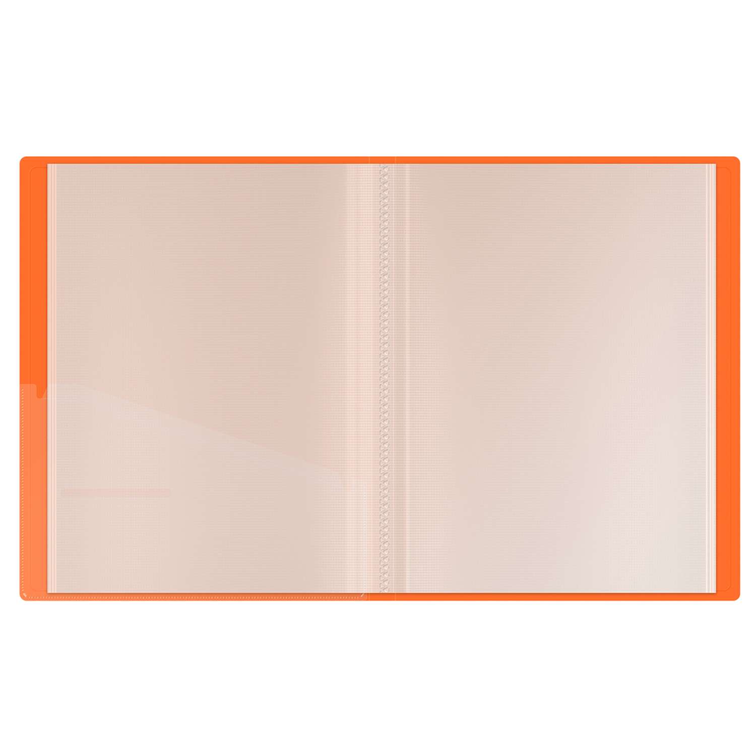 Папка с 40 вкладышами Berlingo Neon оранжевый - фото 2