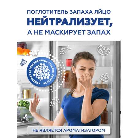 Поглотитель запаха Frau Schmidt для холодильника с индикатором температуры