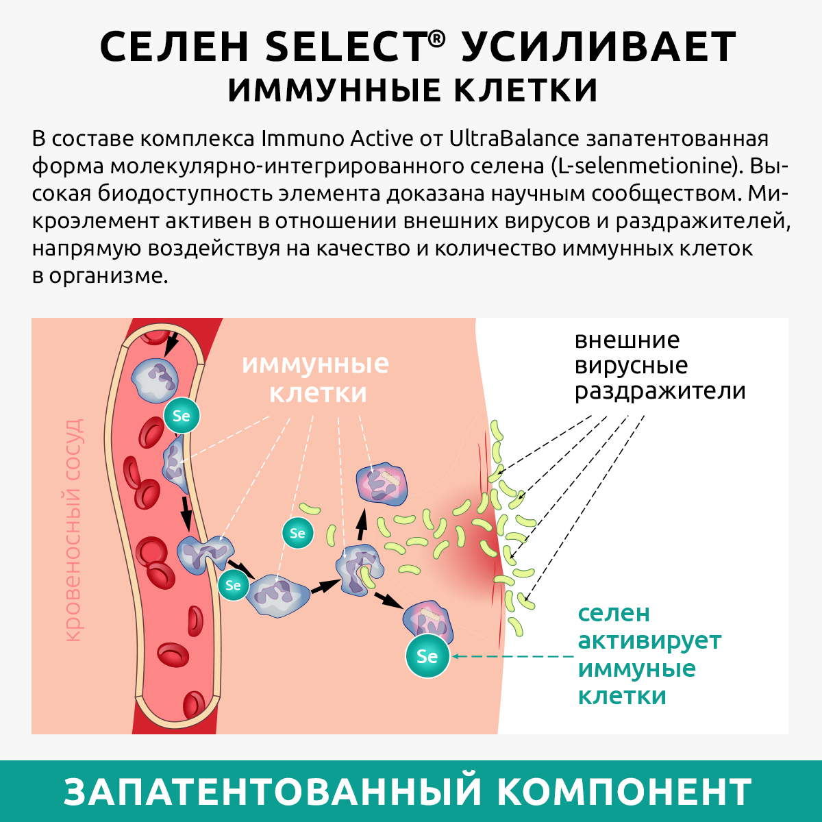 Иммунокомплекс 180 капсул UltraBalance витамины для иммунитета - фото 10