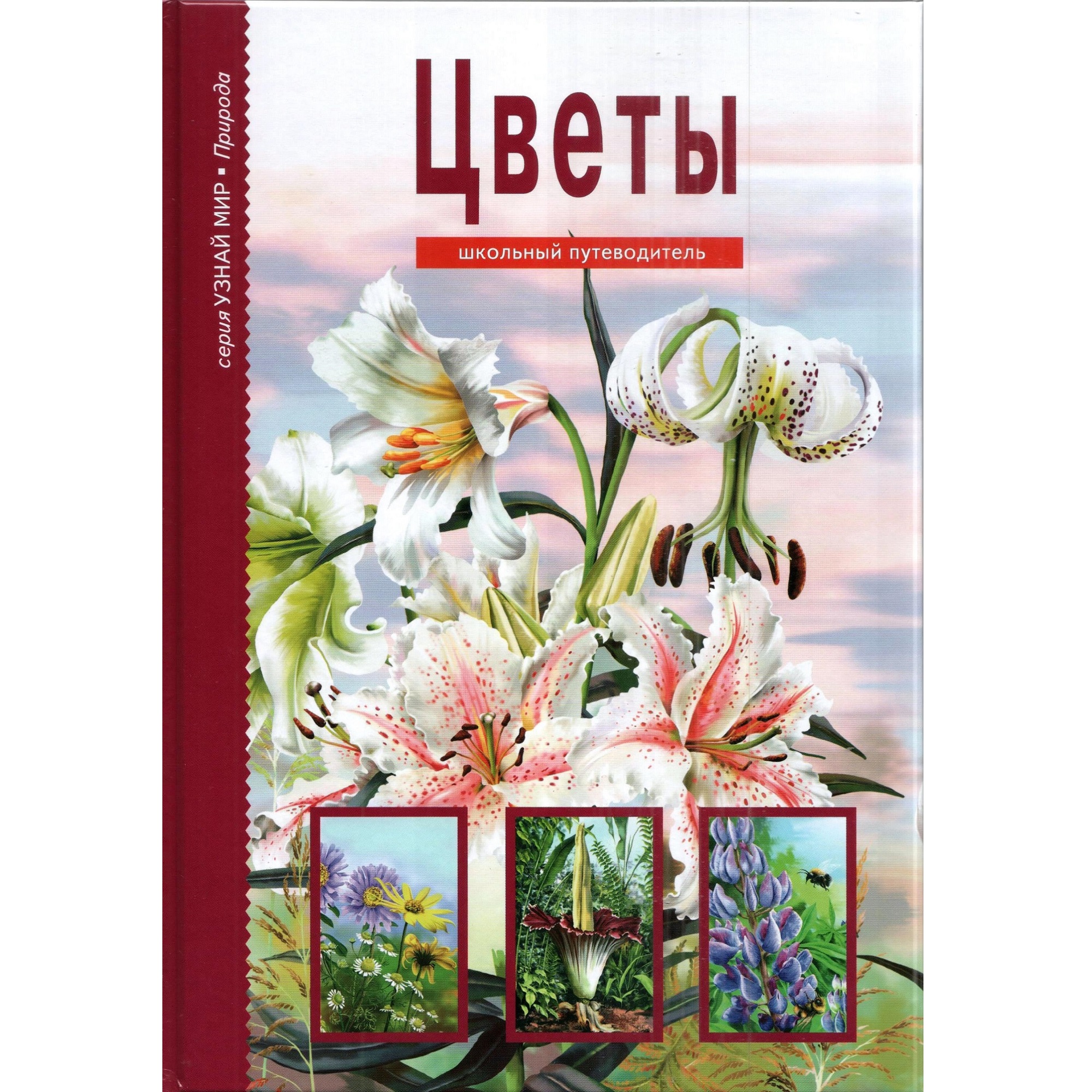 Книга Лада Цветы. Школьный путеводитель купить по цене 364 ₽ в  интернет-магазине Детский мир