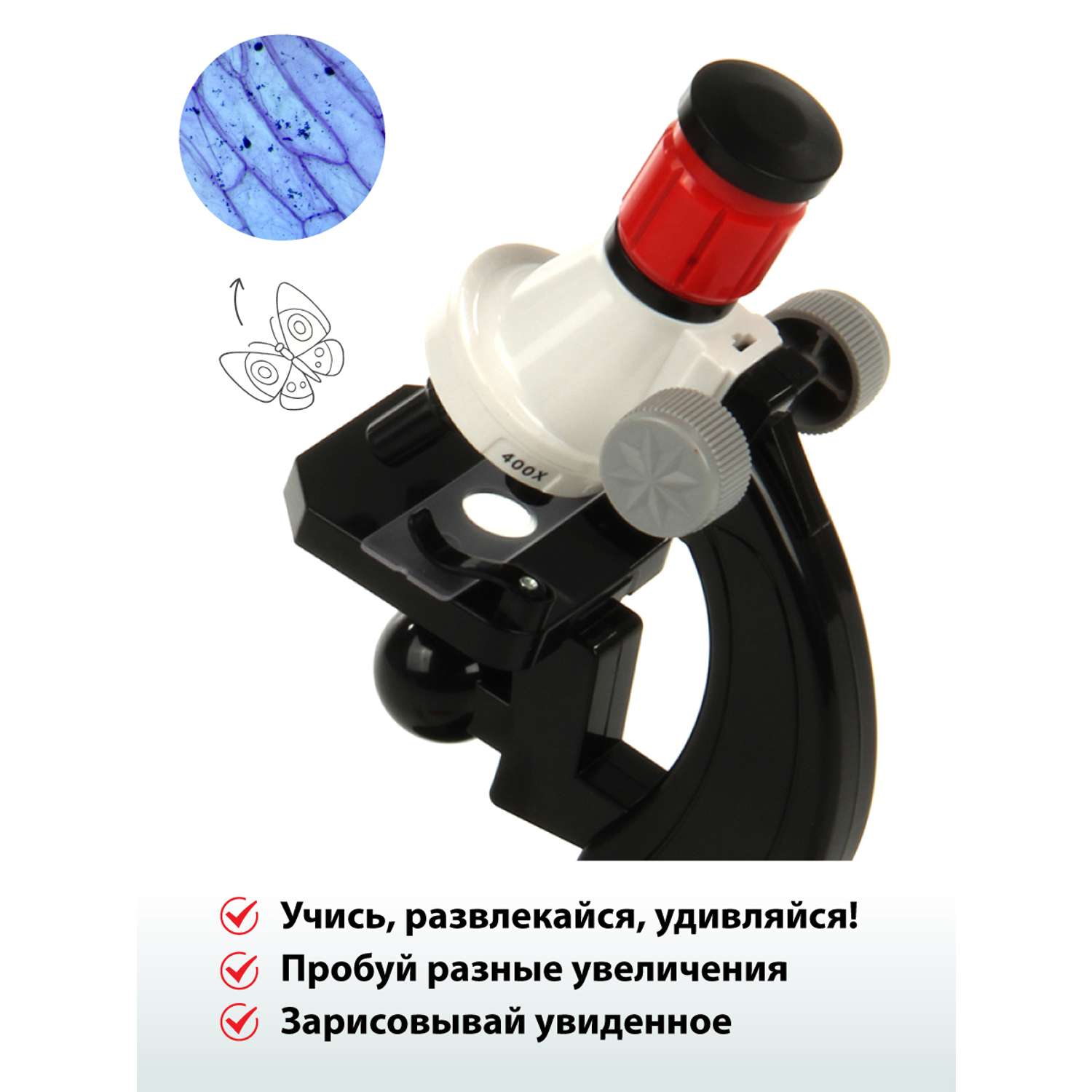 Микроскоп Veld Co с аксессуарами 5 предметов - фото 5
