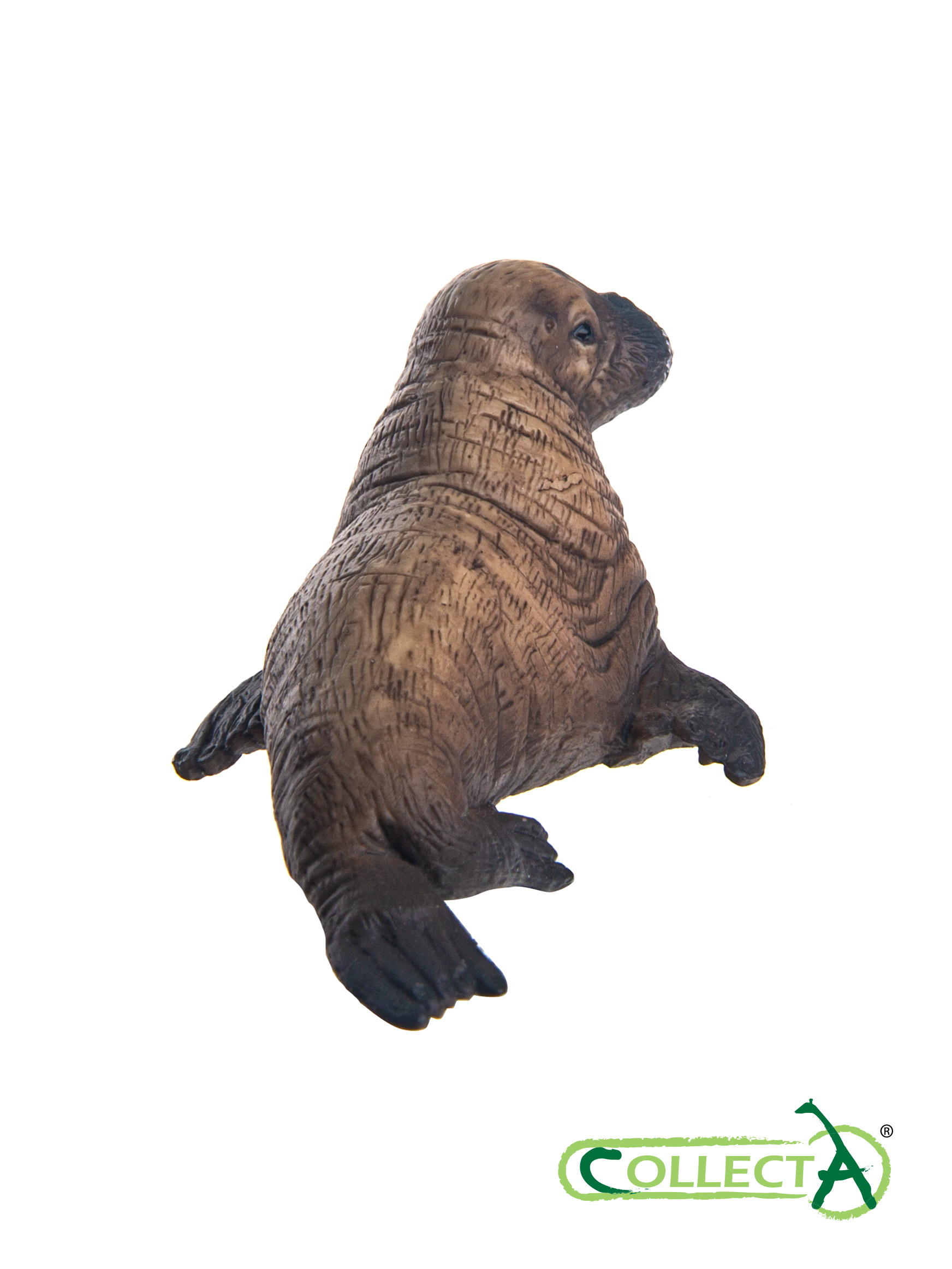Игрушка Collecta Детёныш моржа фигурка морского животного - фото 4
