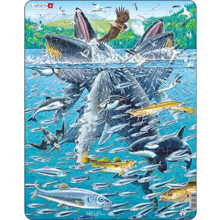 Пазл Larsen Горбатые киты в стае сельди 140 эл