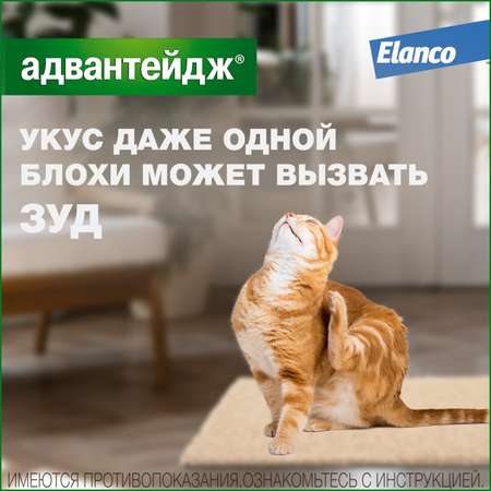 Препарат инсектоакарицидный для кошек Elanco Адвантейдж 0.4мл 4пипетки