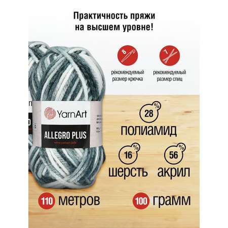 Пряжа YarnArt Allegro Plus очень толстая 100 г 110 м 748 секционный 5 мотков