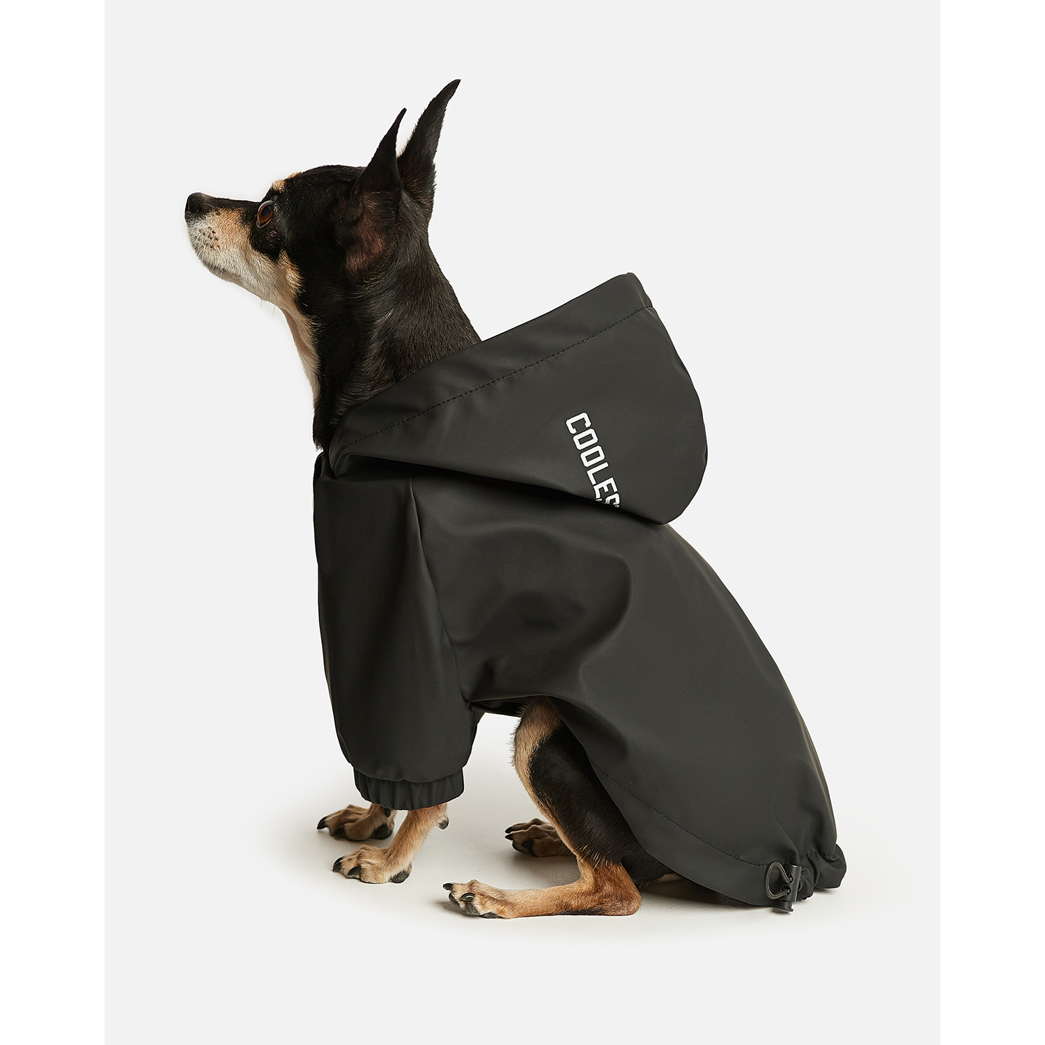 Дождевик-куртка для собак Zoozavr чёрный 35 - фото 10