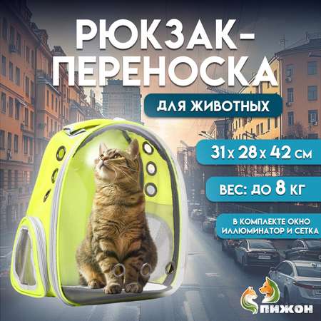 Рюкзак для переноски кошек и собак Пижон прозрачный, 31 х 28 х 42 см