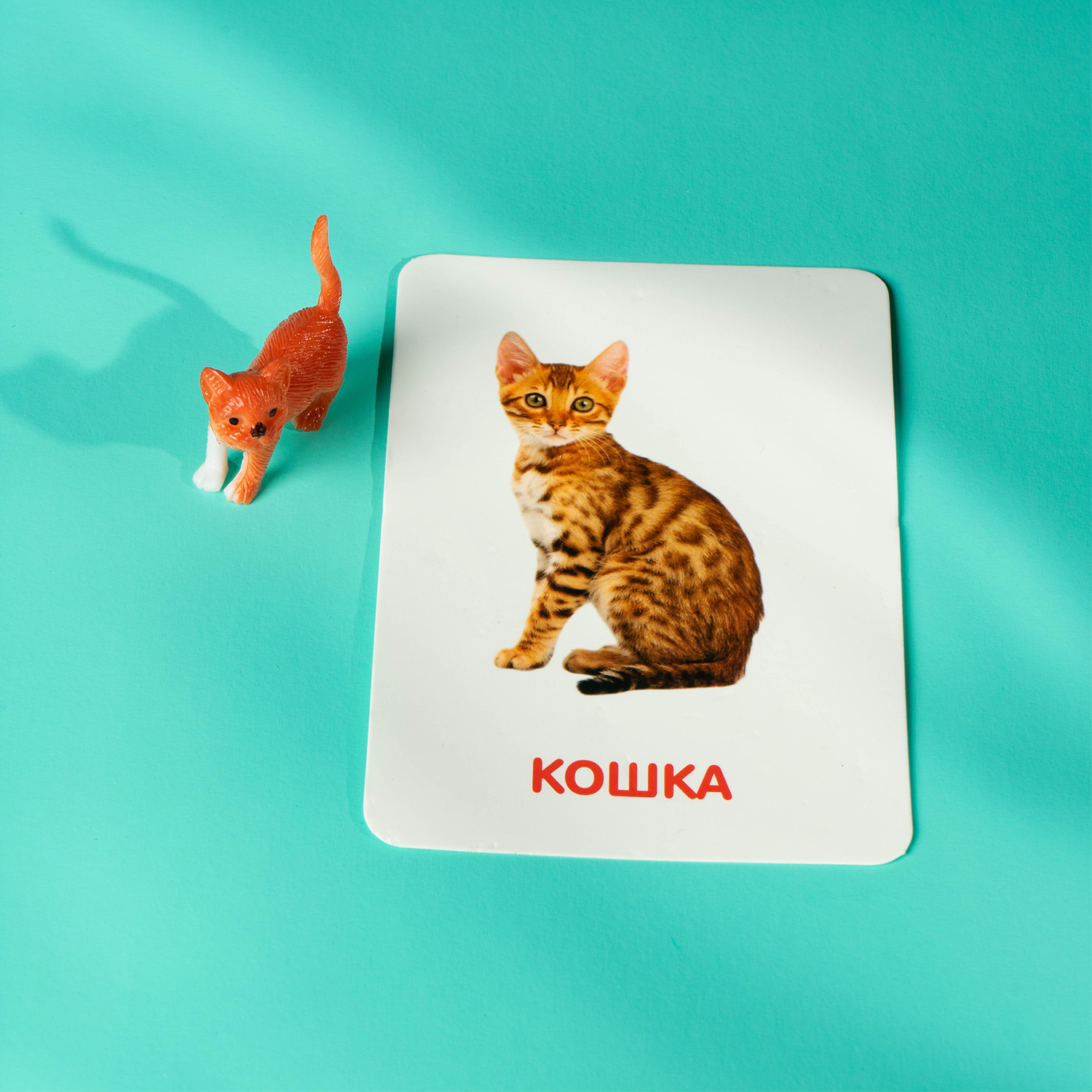 Развивающий набор IQ-ZABIAKA с карточками по методике Домана Домашние животные - фото 2