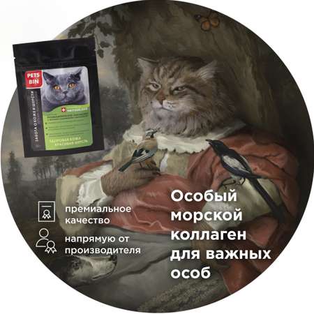 Лакомство для кошек PETS BIN Skin and Hair для кожи и шерсти с коллагеном 1 2 и 3 типа 25 г