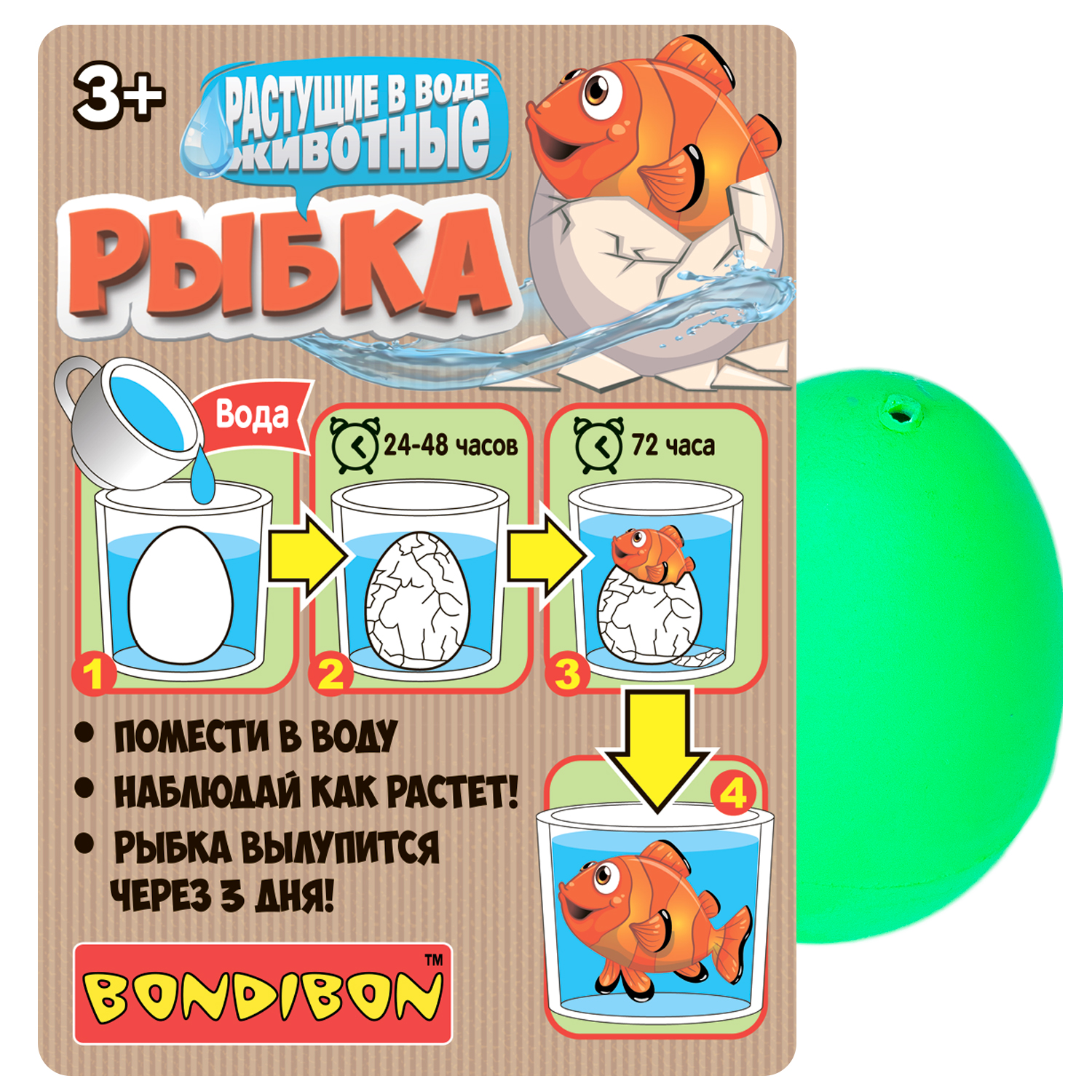 Растущая в воде игрушка BONDIBON Вырасти Рыбку в зелёном яйце - фото 4