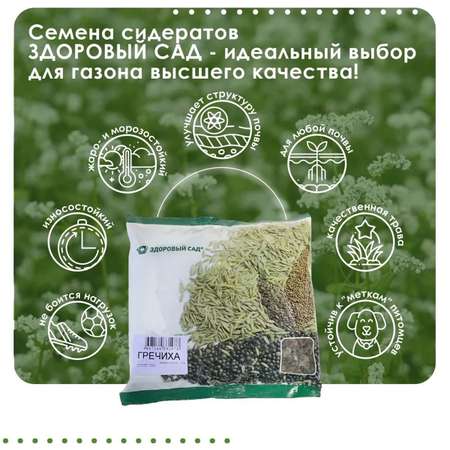 Семена сидерата Здоровый Сад Гречиха 15х0.4 кг