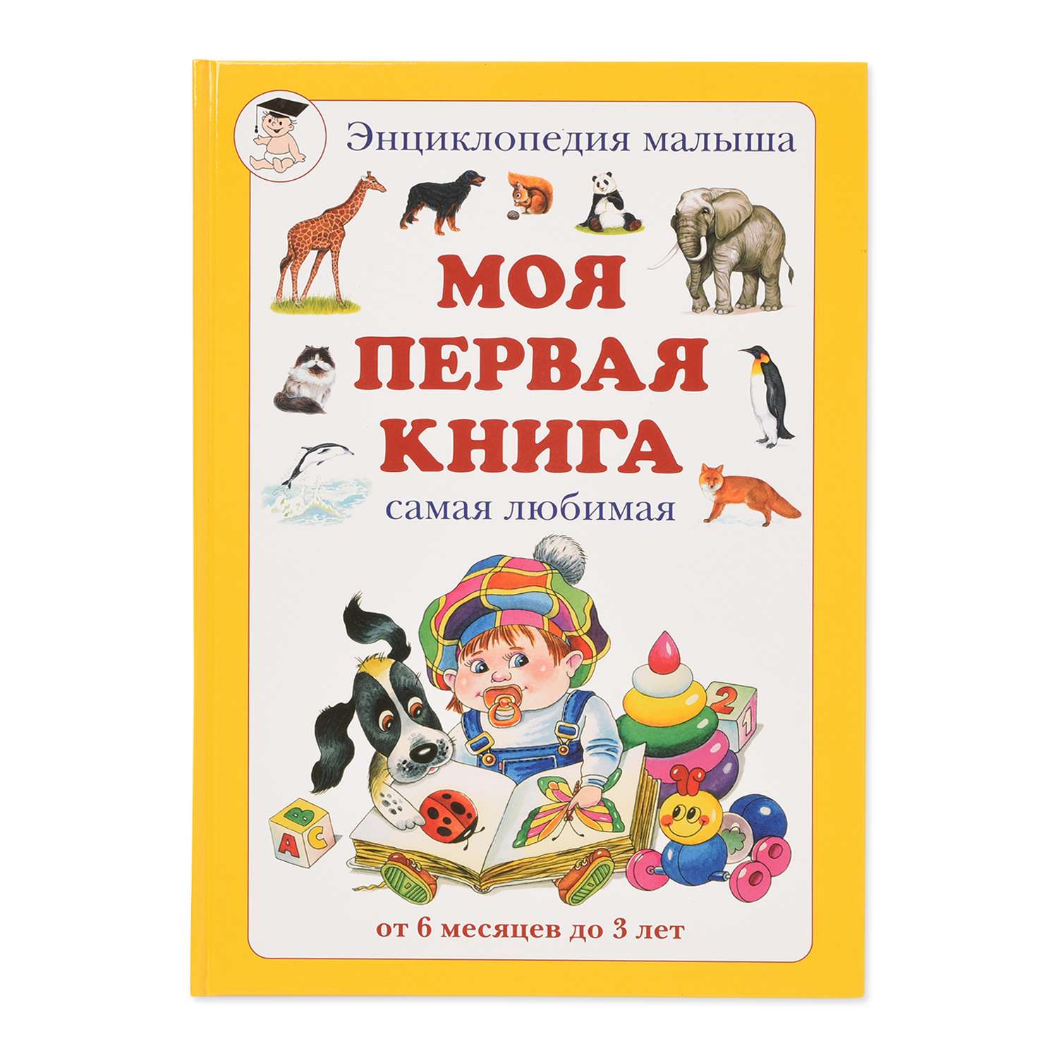 Книга Лабиринт Моя первая книга - фото 1