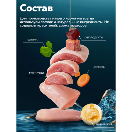 Корм влажный Зоогурман Holistic С уткой и шпинатом, 100 г х 20 шт.
