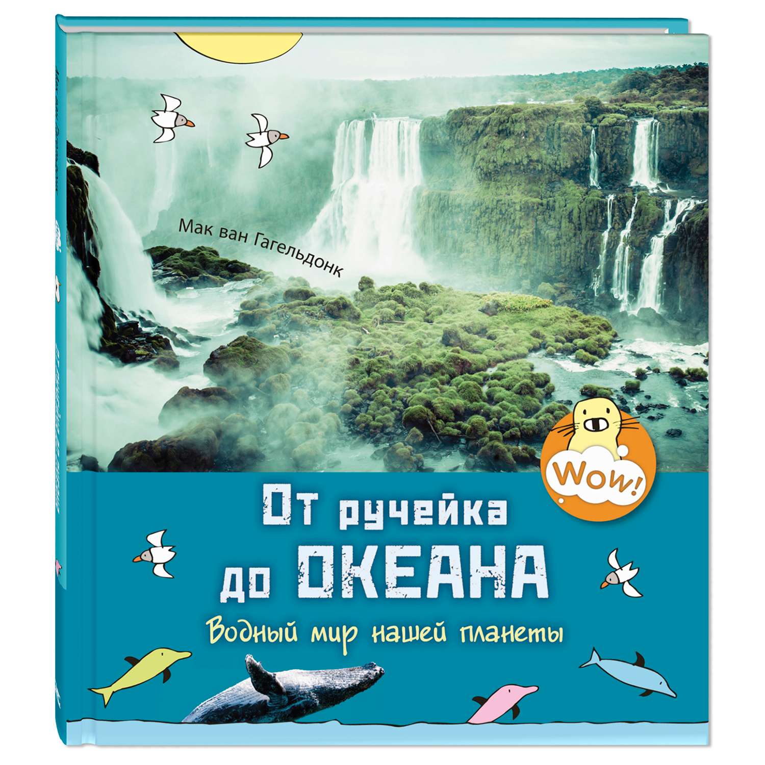 Книга Издательство Энас-книга От ручейка до океана Водный мир нашей планеты - фото 1