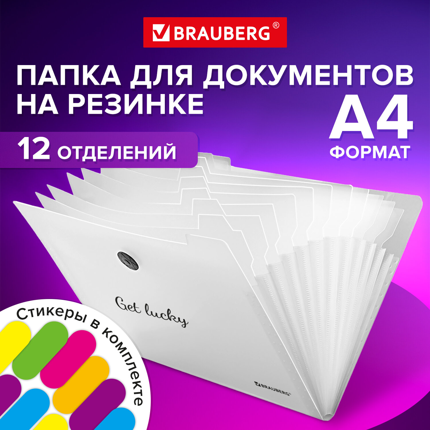 Папка-органайзер Brauberg для документов А4 на резинке канцелярская 12  отделений купить по цене 329 ₽ в интернет-магазине Детский мир