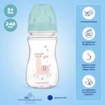 Бутылочка Canpol Babies Toys 240мл c 3месяцев Зеленая 35/221_gre