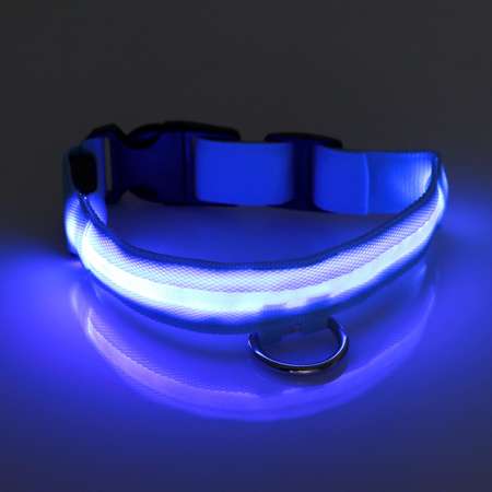 Ошейник Пижон с подсветкой зарядка от USB до 45 см 3 режима свечения голубой