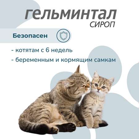 Сироп для кошек Гельминтал более 4кг от внутренних паразитов 5мл