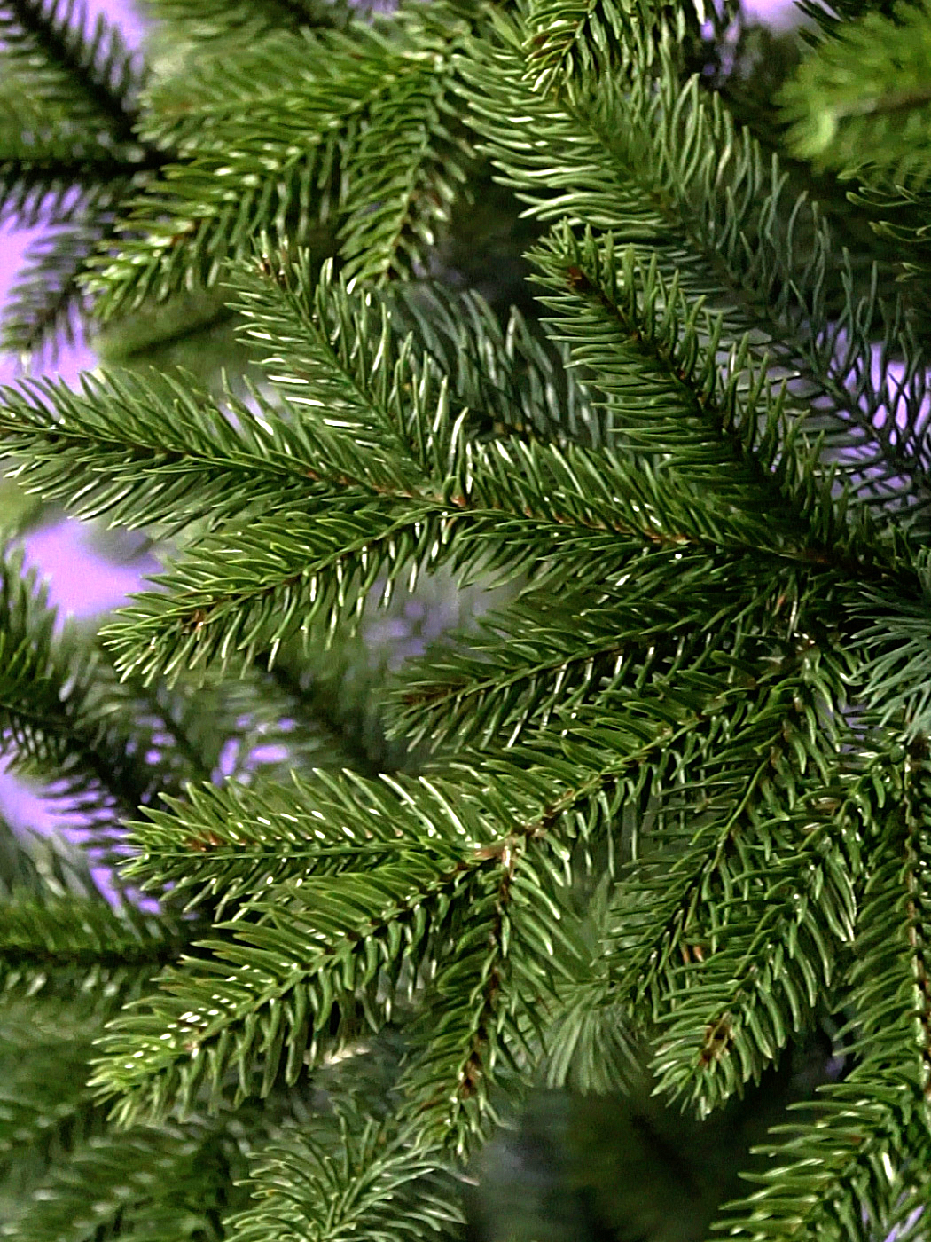 Елка Crystal Trees Парижская Ночь 150 См. - фото 3