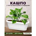 Кашпо elfplast для цветов Флавия №1 с застегивающимся поддоном белый овал 16х12х10 см