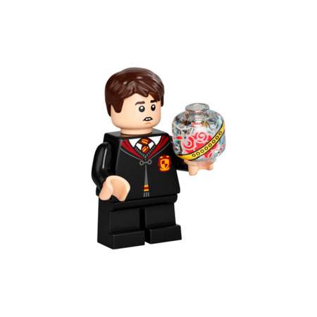 Конструктор LEGO Harry Potter Хогвартс: первый урок полётов 76395